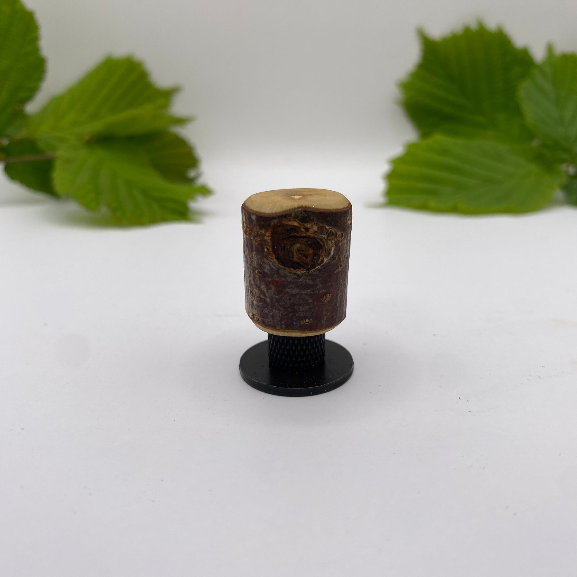 Hazel & Brass Knob • Knurled • Blackened